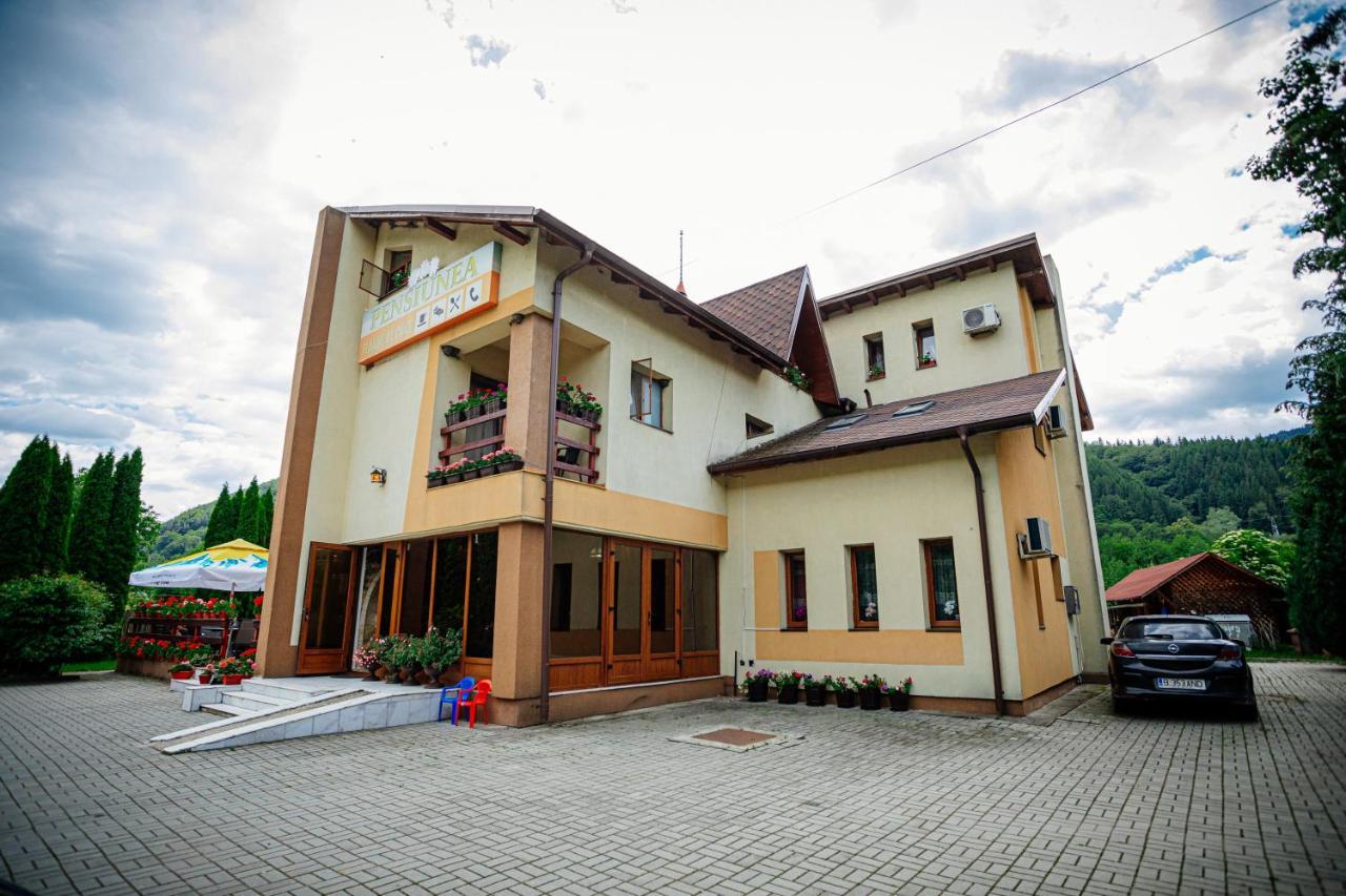 Pensiunea Floare De Colt Dragoslavele Exterior foto
