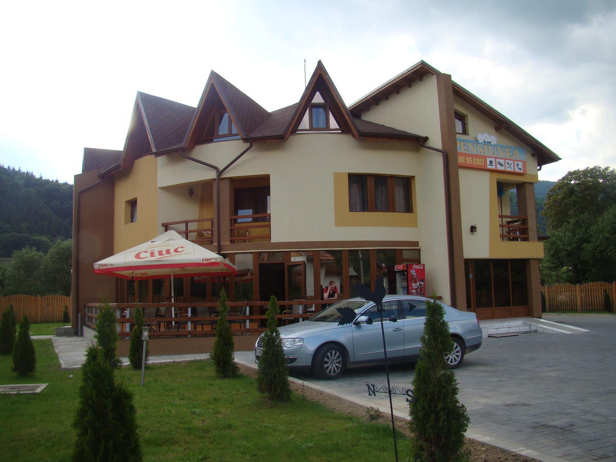 Pensiunea Floare De Colt Dragoslavele Exterior foto