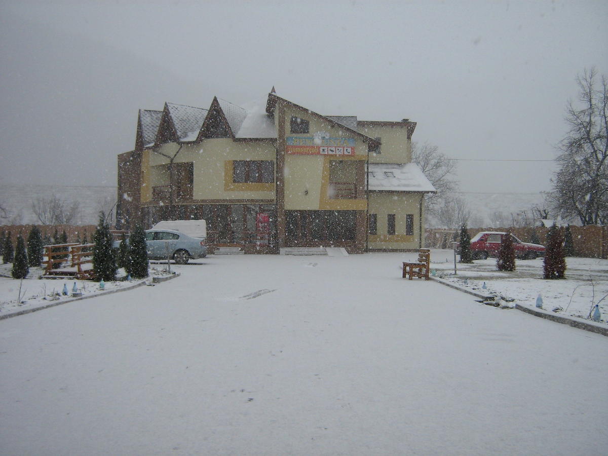 Pensiunea Floare De Colt Dragoslavele Exterior foto